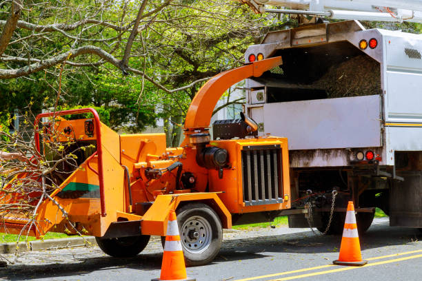 Mulching Services in Somerset, TX